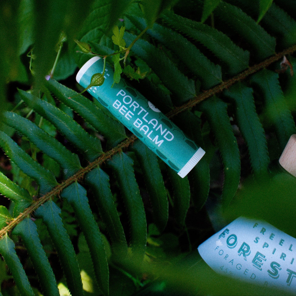 Portland Bee Balm x Freeland Spirits Forest Gin Lip Balm